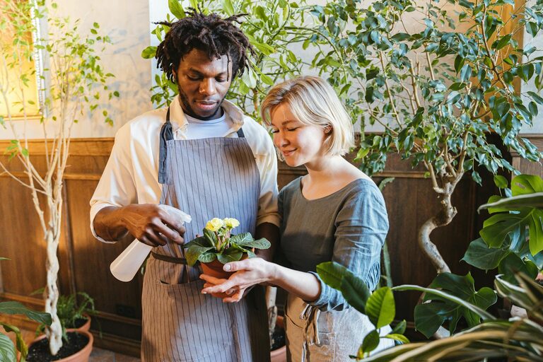 Consejos prácticos para mantener tus plantas de interior saludables todo el año